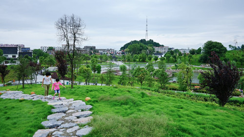 漳州公共绿化覆盖面积超2800公顷