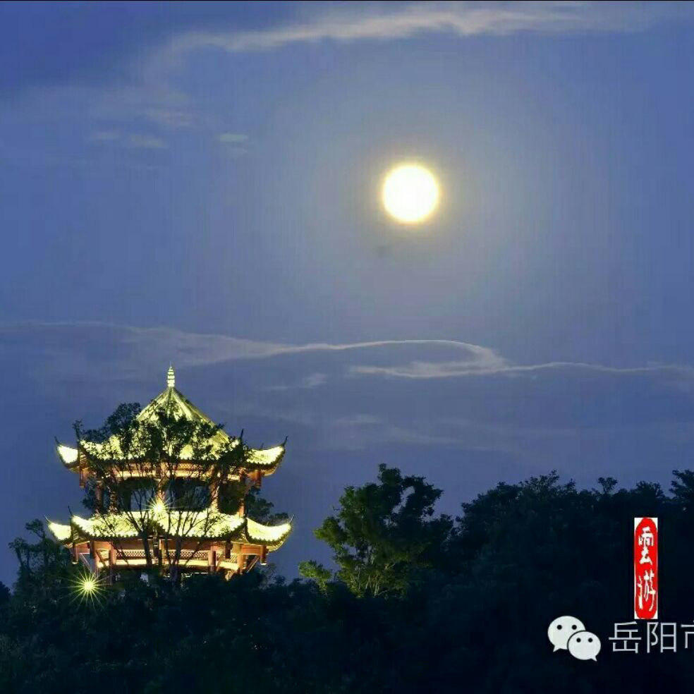 添加图片