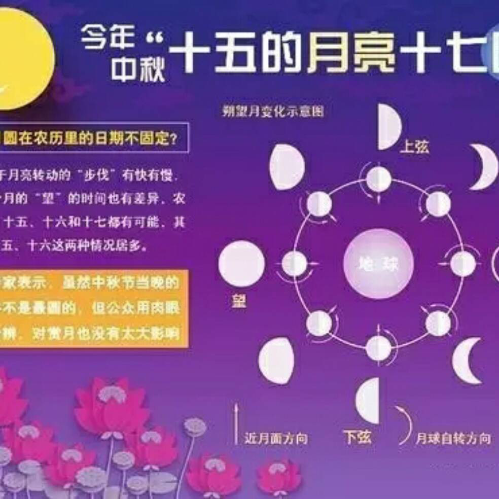 添加图片