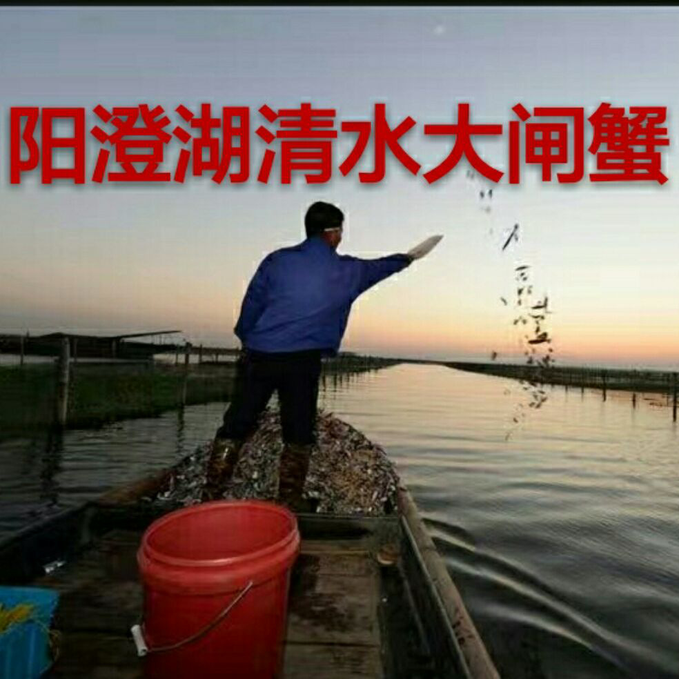 添加图片