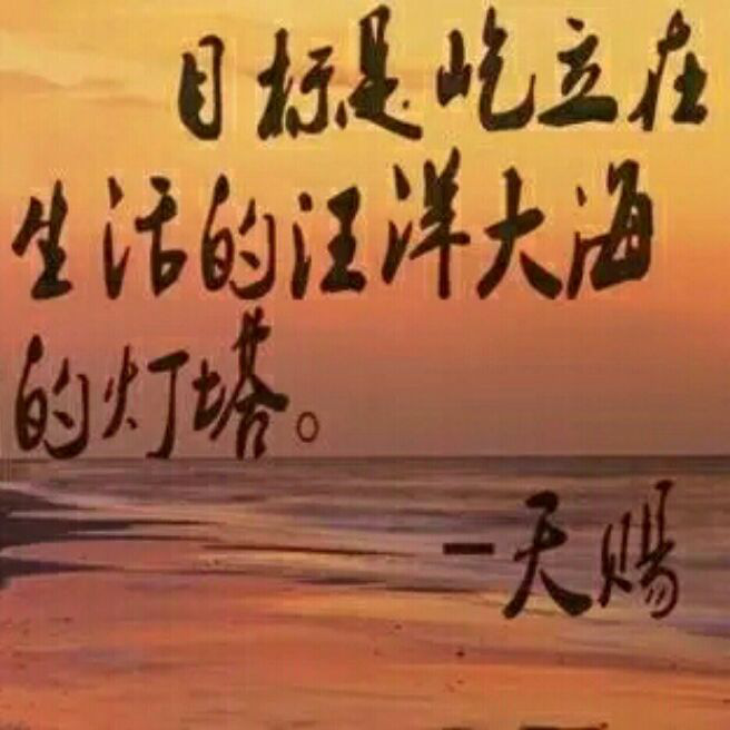 添加图片