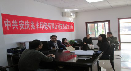 安庆兆丰印染有限公司党支部在鸭儿塘社区成立