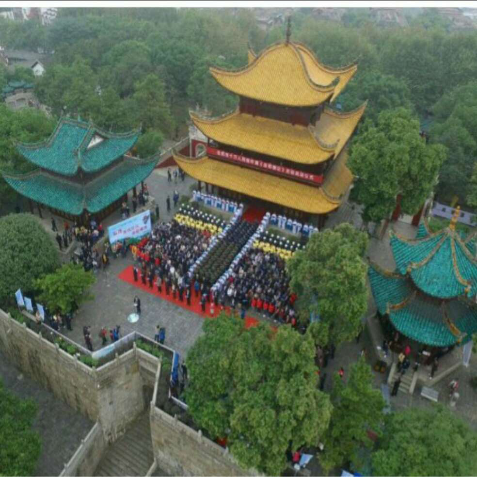 添加图片