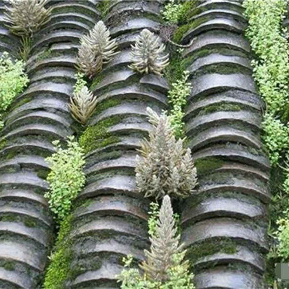 添加图片