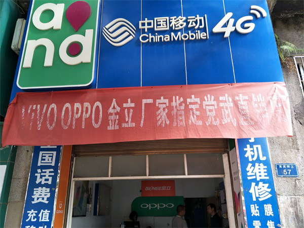 党武镇中国移动分店门口