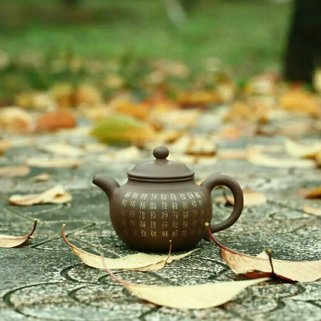 添加图片