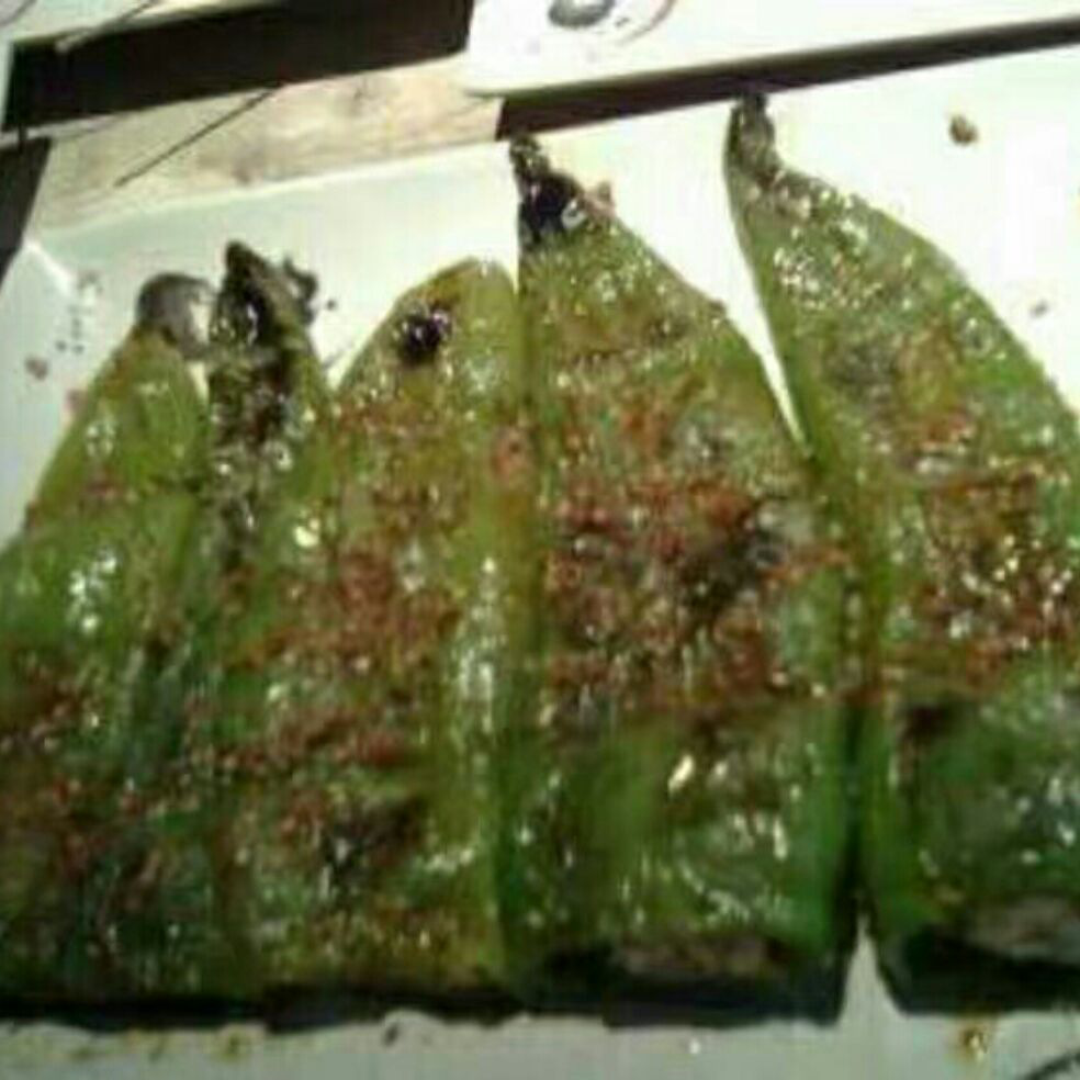 添加图片