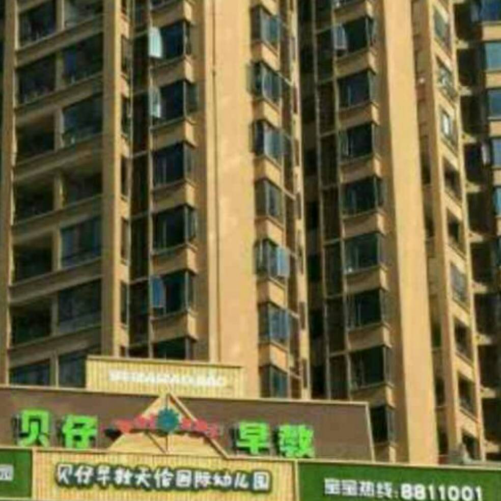 添加图片