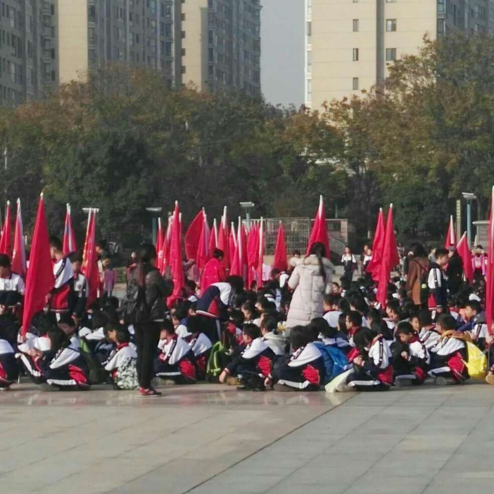 添加图片