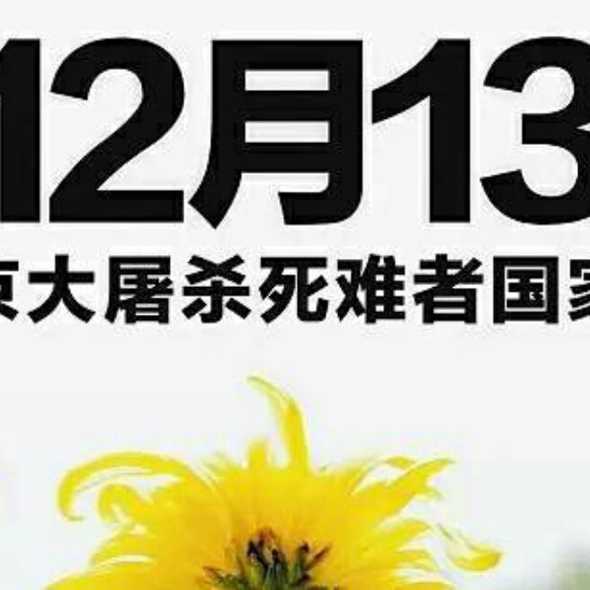 添加图片