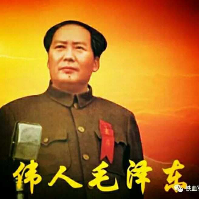添加图片