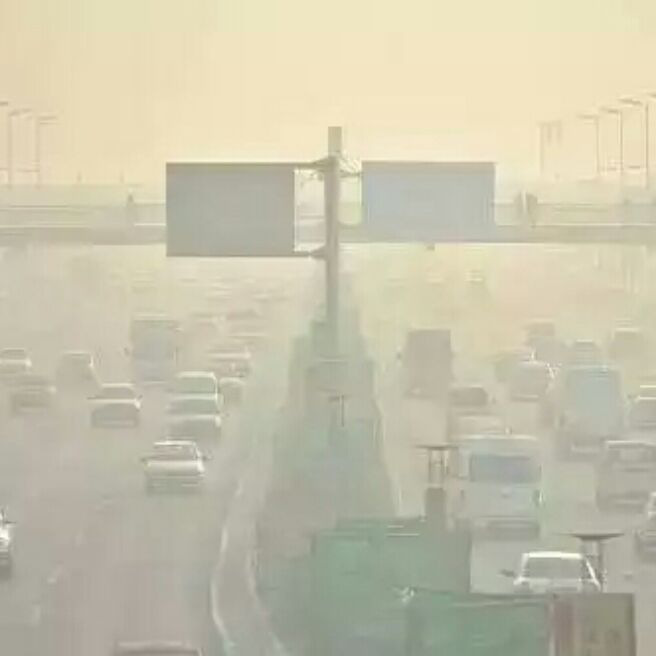 添加图片