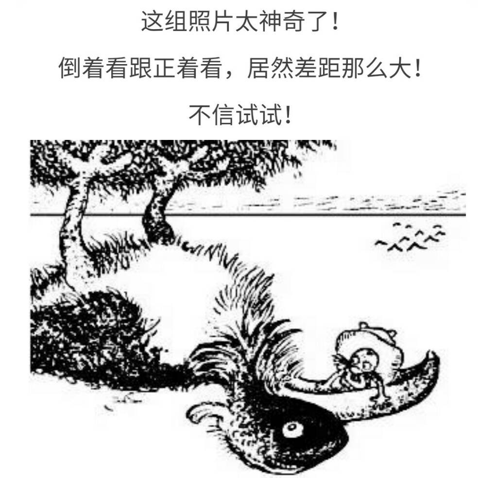 添加图片