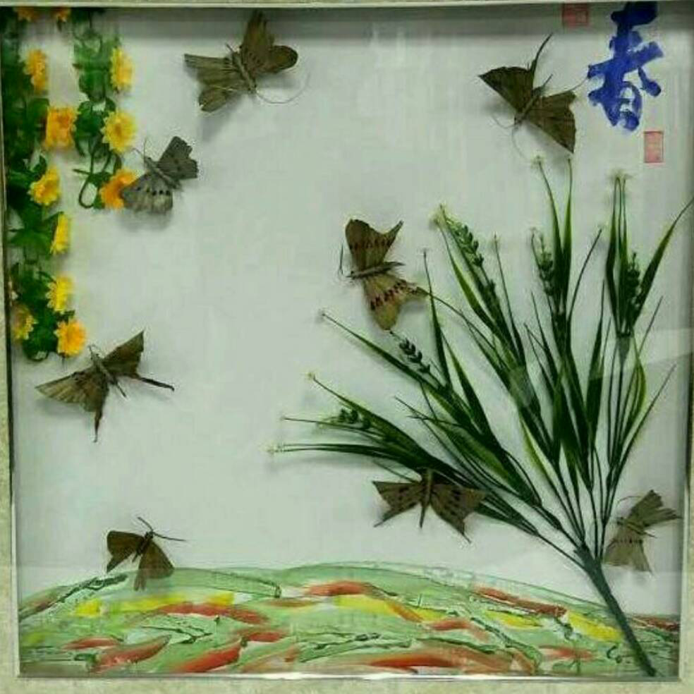 添加图片