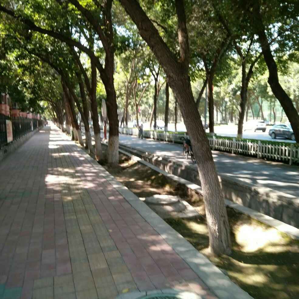添加图片