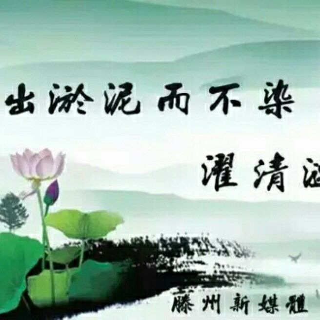 添加图片
