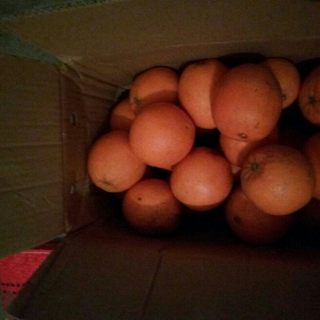 添加图片