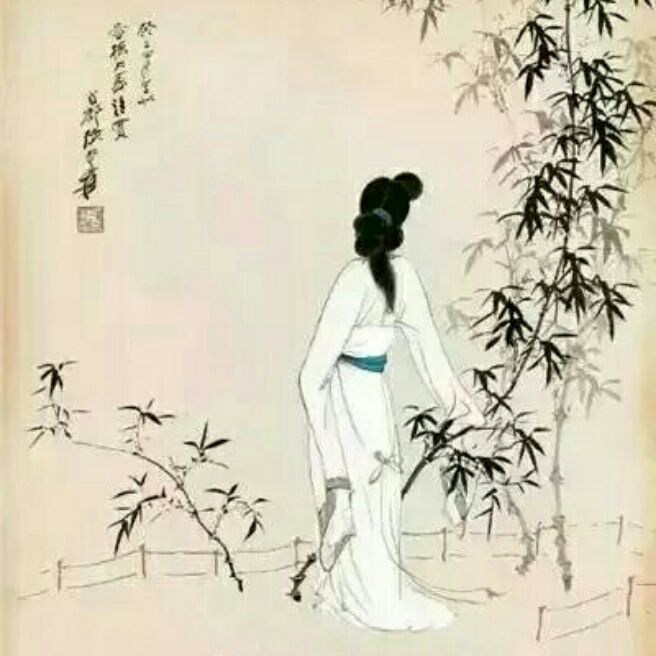 添加图片