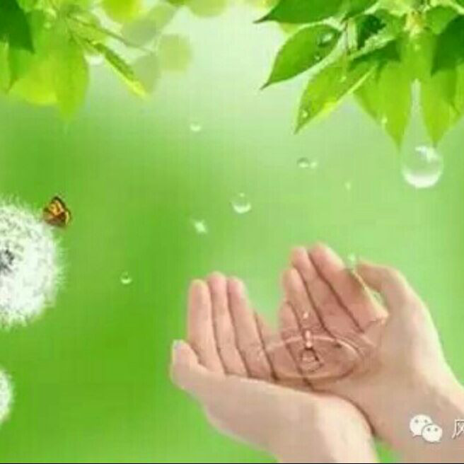 添加图片