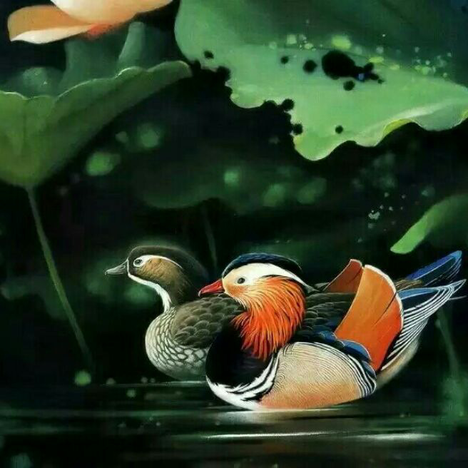 添加图片