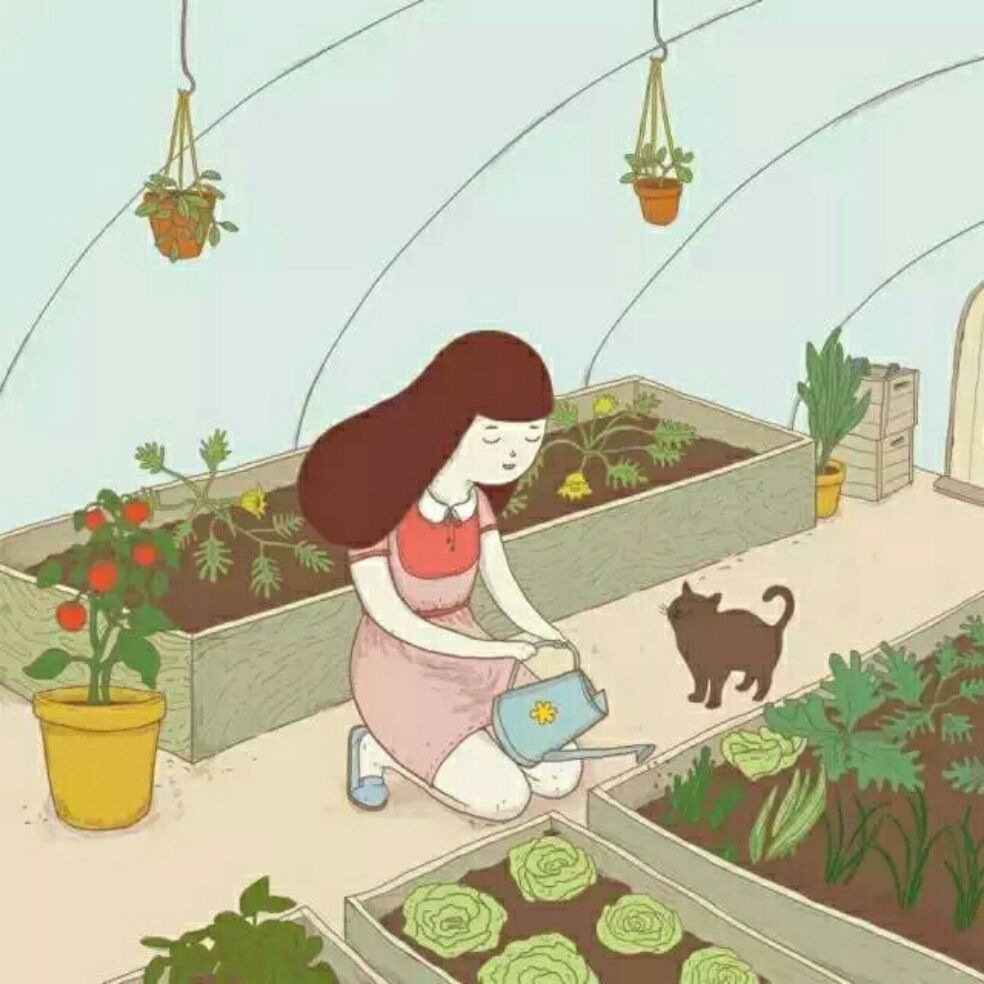 添加图片
