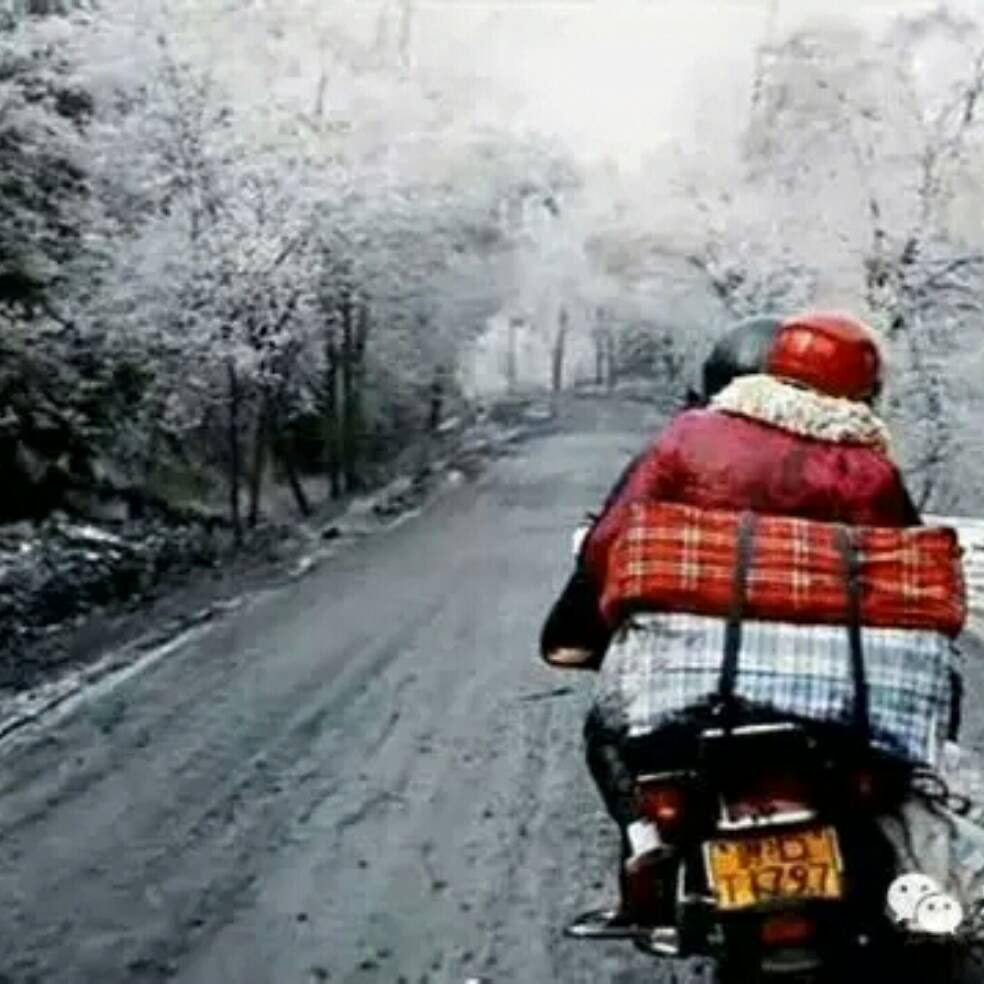 添加图片