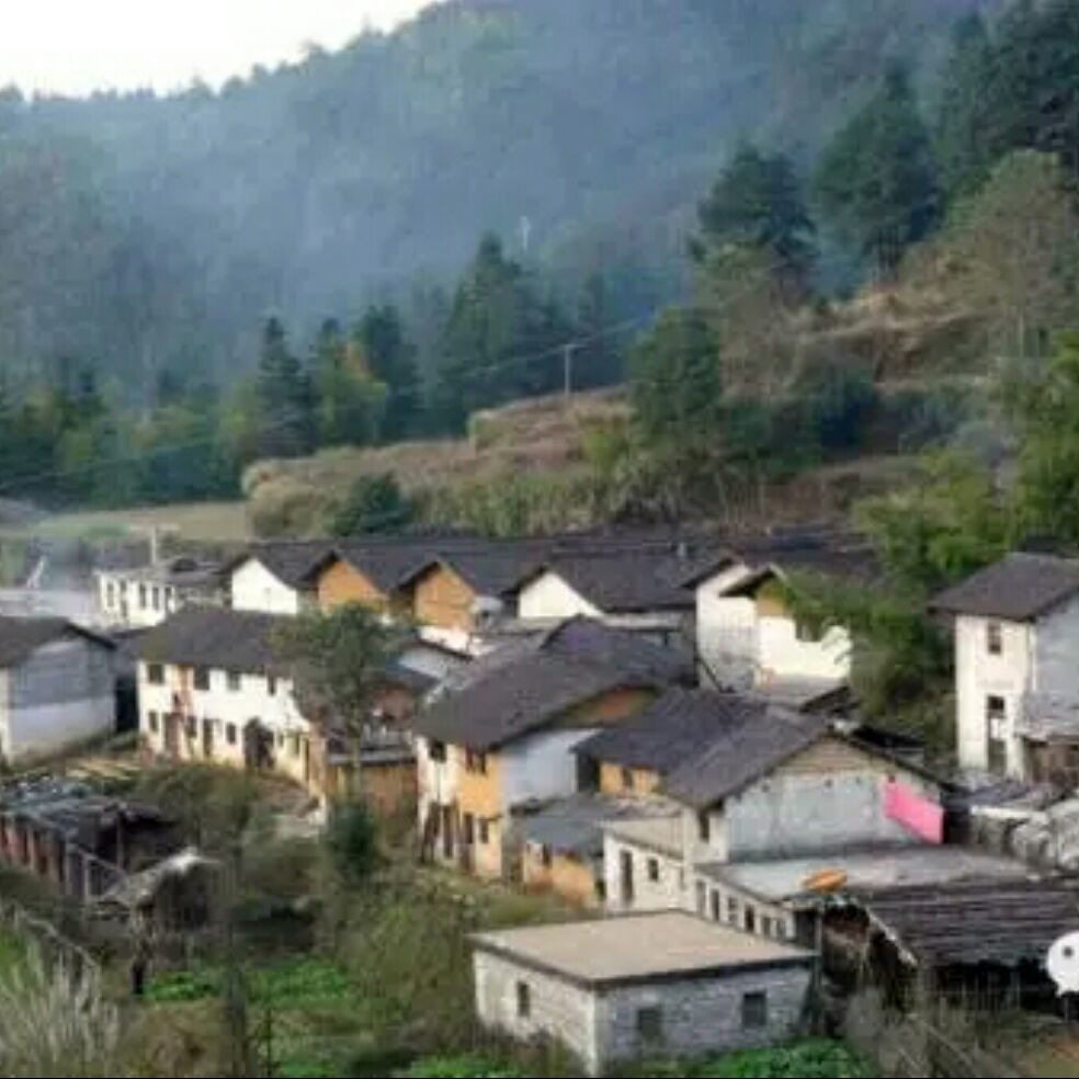 添加图片