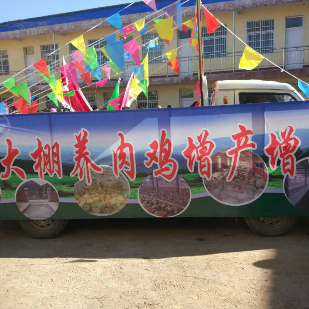 添加图片