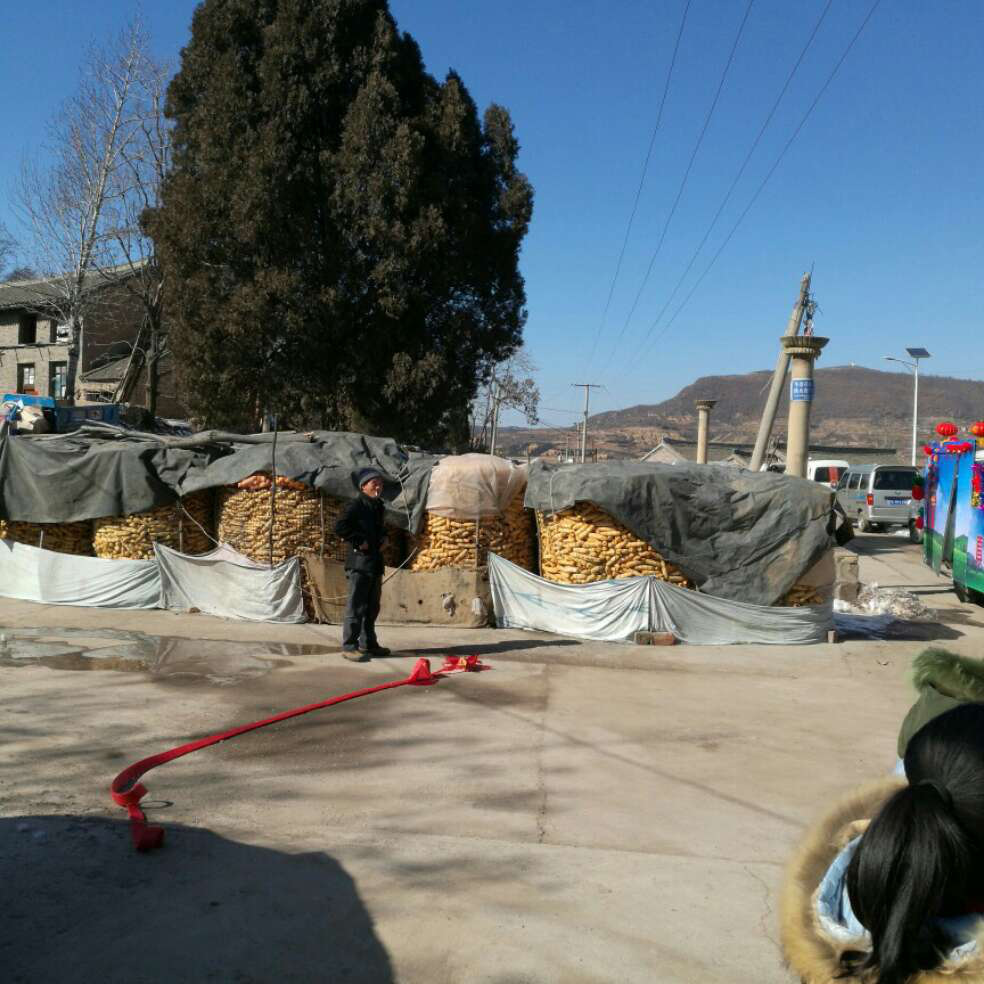 添加图片