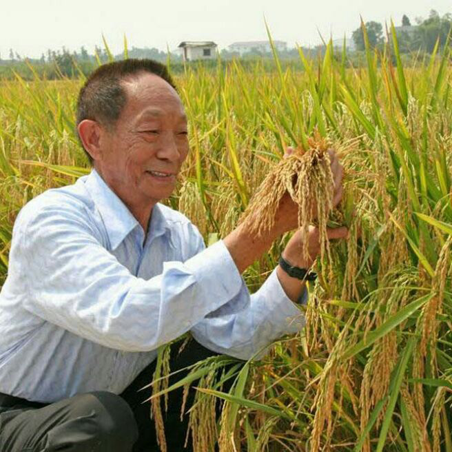 添加图片