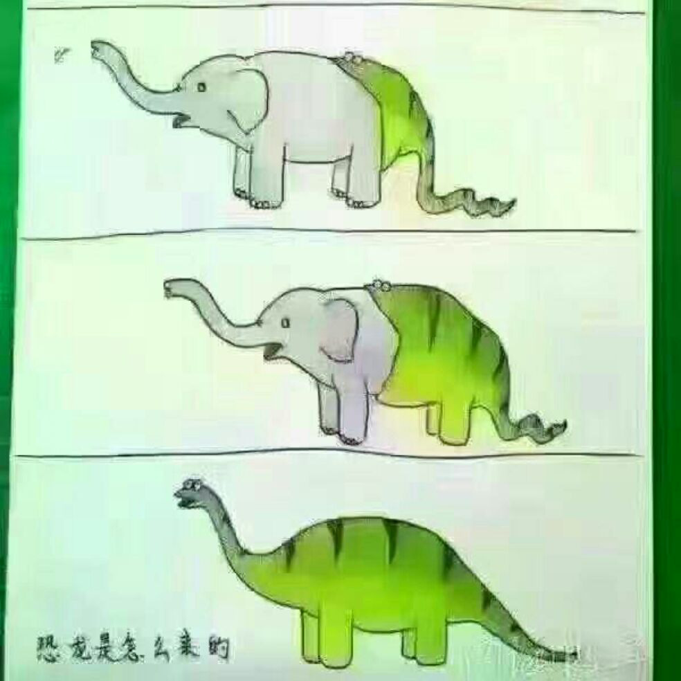 添加图片