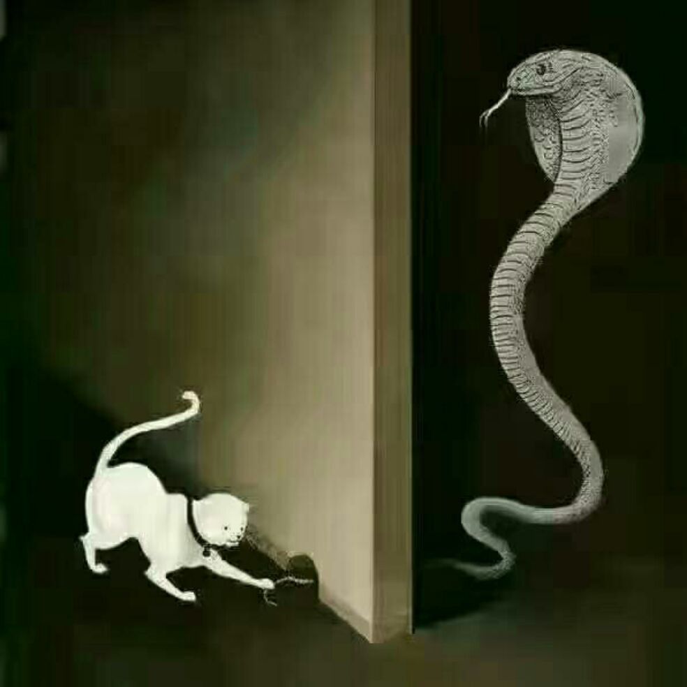 添加图片