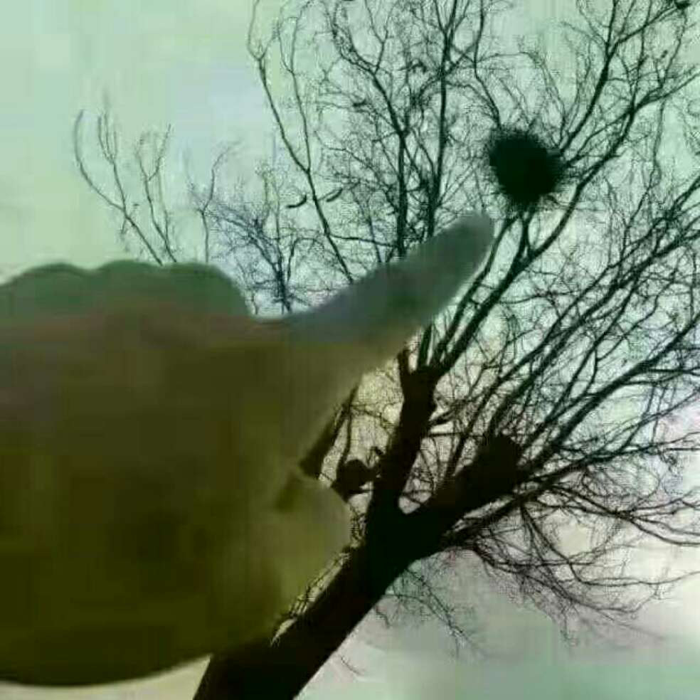添加图片