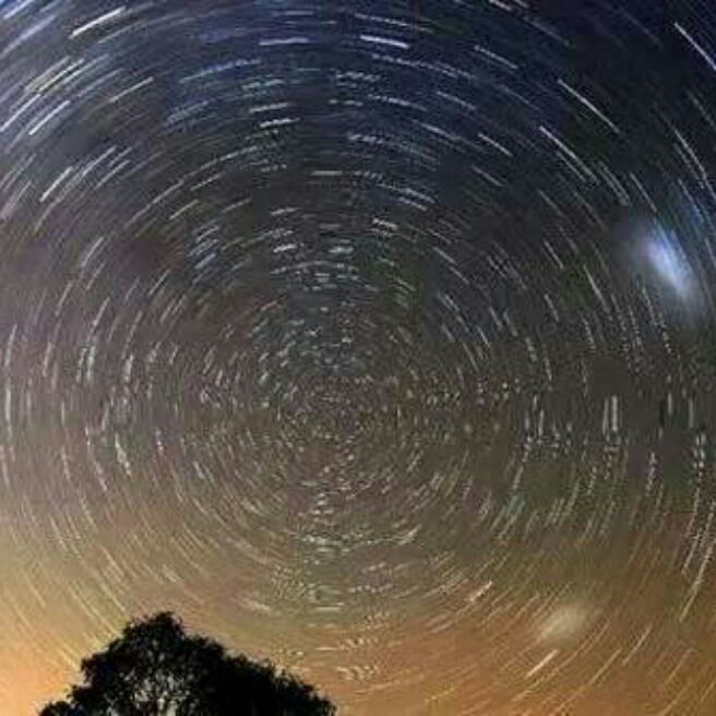 添加图片