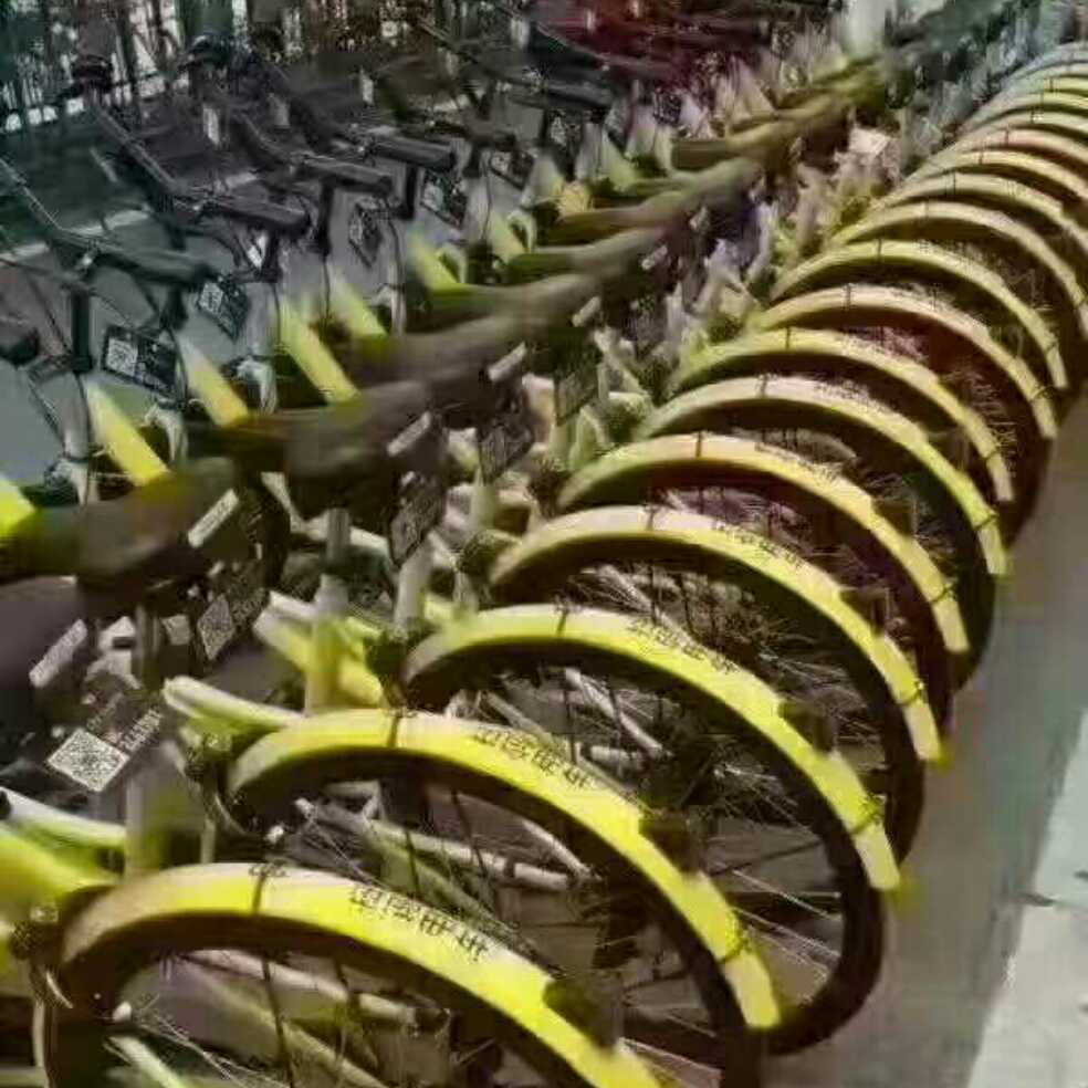 添加图片