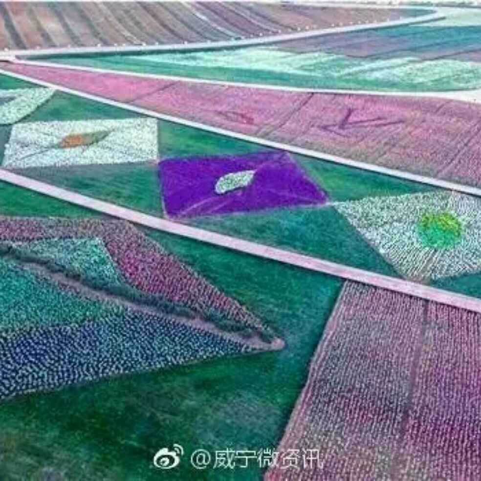 添加图片