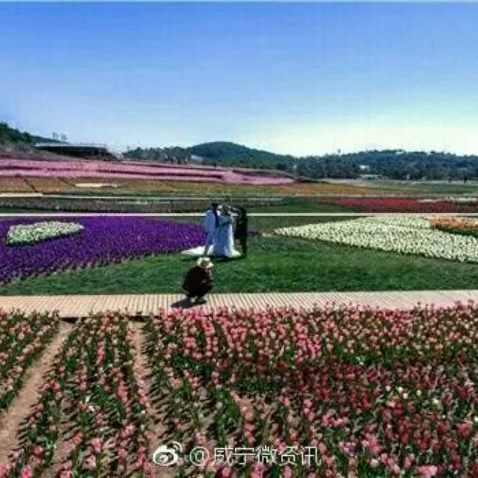 添加图片