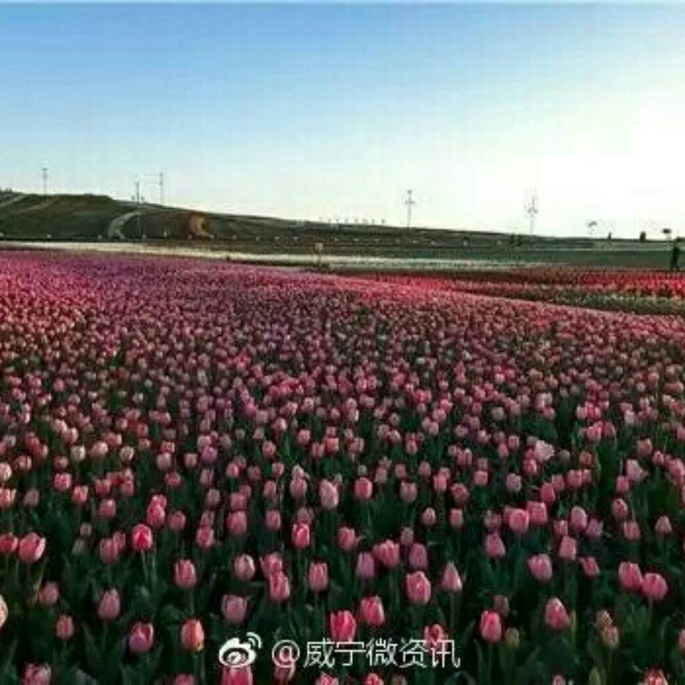 添加图片