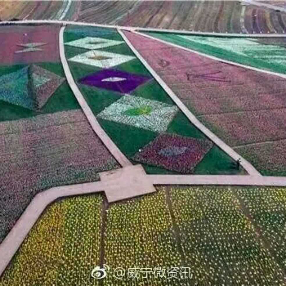 添加图片