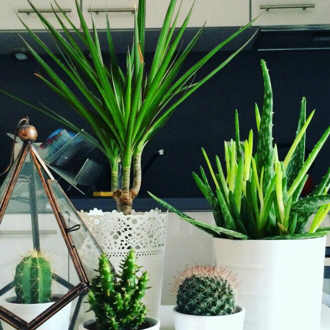 添加图片