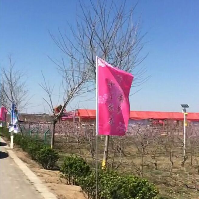 添加图片