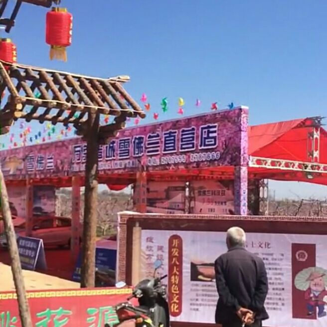 添加图片