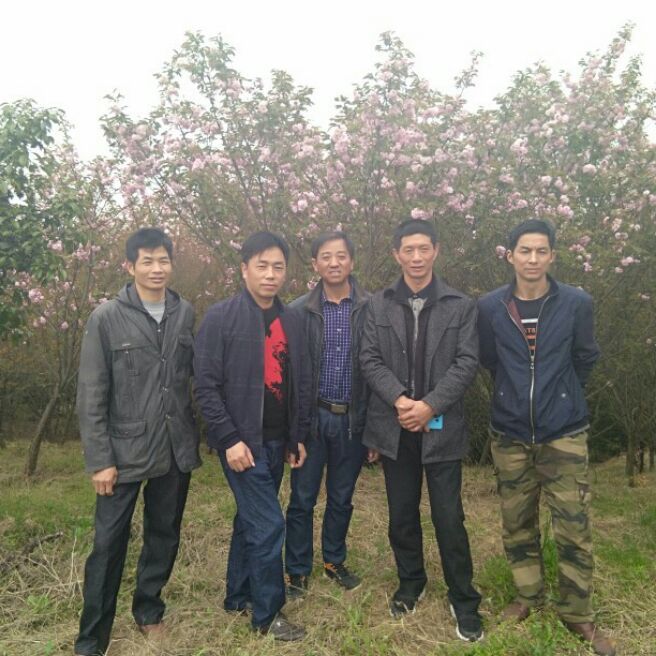 添加图片