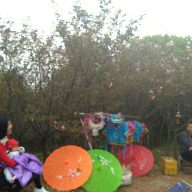 添加图片