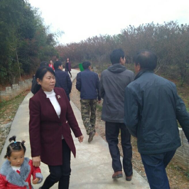 添加图片