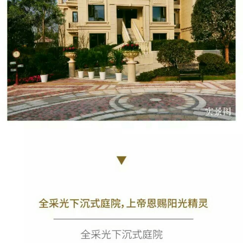 添加图片