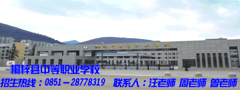 征兵、夏季、桐梓、乡镇