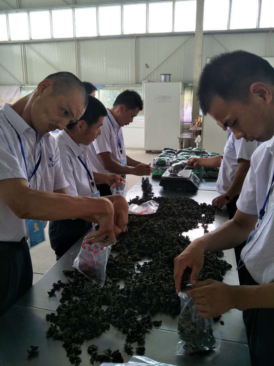 桑枝木耳扶残助残中秋活动开始啦