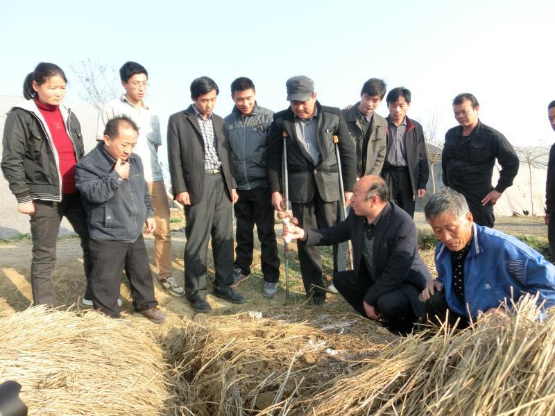 安徽天都灵芝扶贫济困一直在路上
