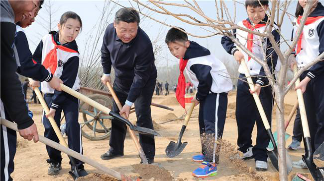 习近平在植树